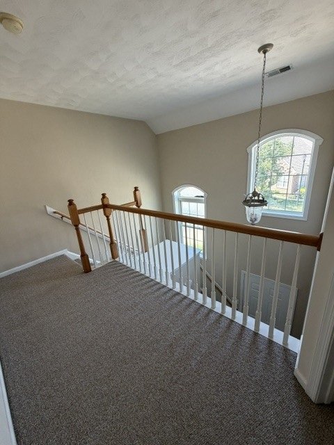 Gallery Photo 19